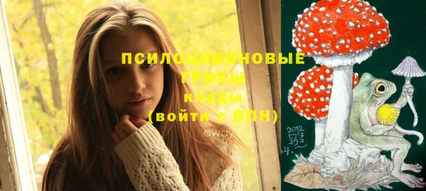 стафф Верхний Тагил