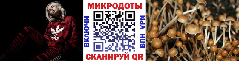 Галлюциногенные грибы Psilocybine cubensis  маркетплейс состав  Горняк  где можно купить наркотик 
